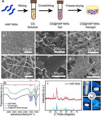 Osteogenic Property Regulation of Stem Cells by a Hydroxyapatite 3D-Hybrid Scaffold With Cancellous Bone Structure